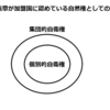 あくまで安倍さんは最終的には憲法改正を目指すべき〜本来、自衛隊は「ネガティブリスト」でその行為を統制すべき