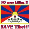 Free Tibet 2009 開催中！