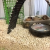 泥んこの君はダレ？