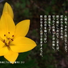 こころの道しるべ（275）自分の花