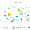 【考察/結論】パスタのゆで汁に塩は必要か？