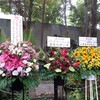 日比谷でわっしょい！
