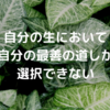 自分の生において、「自分の最善の道」しか選択できない