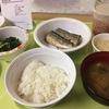 秋刀魚におろし！