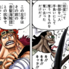 ONE PIECE 第1076話『旧友』（週刊少年ジャンプ13号（令和5年））感想