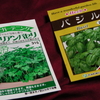 2013/04/19　イタリアンパセリとバジルのタネ