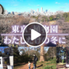 【ドキュメント72時間】東京・植物園　わたしだけの冬に（なぜ花の咲かない冬の時期に植物園に来場する意味は？）