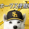 3年ぶりのリーグ優勝！