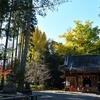 ◆国吉神社の銀杏も見頃（いすみ市）