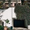 日々の写真 2024 vol.13／11〜12月のお散歩写真