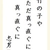 竹の子や ただ真っ直ぐに 真っ直ぐに