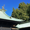＝＝ 花まつり ＝＝