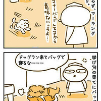 【犬漫画】走らないドッグランで走って逃げた犬