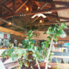 【Cafe Mediumtempo.】糸島の職人夫婦が営むカフェ