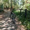 たまには…　BC / DR ライド　2H56 　30.83kmkcal　10.5km/h　804kcal
