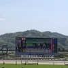 第20回福島牝馬Sを購入