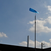 10月の初日は独身デーのはずだったのに・・。