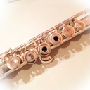 フルート吹きが何やら記録を残したいようです。
