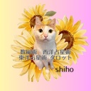 shiholog*