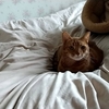 洗面台の交換