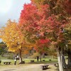 紅葉と秋の空・・と自分の気持ち