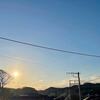 今日はニャンニャンの日だそうで