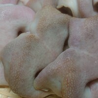 板前レシピ 各種肉 各種ホルモンなどの下処理 下ごしらえ レシピ 食べ方 ちっぴぃクッキング 板前レシピ 各種肉 各種ホルモンなどの下処理 下ごしらえ レシピ 食べ方 ちっぴぃクッキング