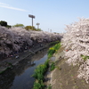 体調不良なので日記でも