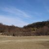 平和公園でもバードウォッチング