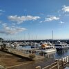 春の東伊豆