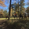 【DAY89】３人旅最後の日 -また会う日まで！- <自転車アメリカS断記 Jeff Bubry Park, MS>