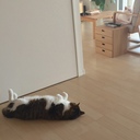 くらしにいいもの