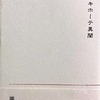 ドン・キホーテ異聞　國峰照子詩集