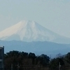 新居での正月の飾りつけ