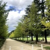 リハビリ兼ねて、初秋の松山城、城山公園へ