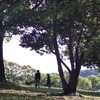 世の中はGWらしい。人が休みの時が働くのも楽しいものです。