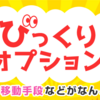 JAL　びっくりオプッションがとんでもなくお得だった