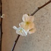 3/11のつぶやき