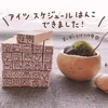 新年、かわいく自己管理はじめませんか？アイツスケジュールハンコ♫