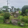 里芋除草＆お墓除草開始