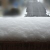 雪。(2026.2.8日)