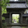 Sun. 　 山形県・玉川寺・九輪草　