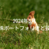 2024年5月｜高配当株ポートフォリオと投資状況