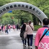 第５０回相模原市民若葉まつり開催結果！(2023/5/16)