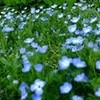 高血圧・・