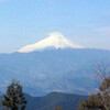  高尾 景信山､城山