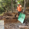 「佐波の里山・きずなの森」の自然観察散歩