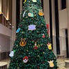 #240     今日はクリスマスイブ！