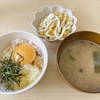 ども、ひつじっぽい鳥です
