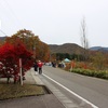 観音沼森林公園の紅葉